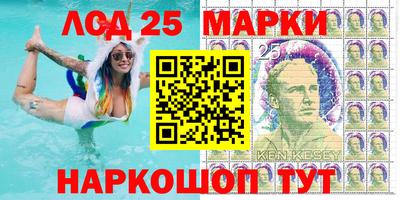 шишки Кингисепп