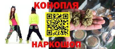 шишки Кингисепп