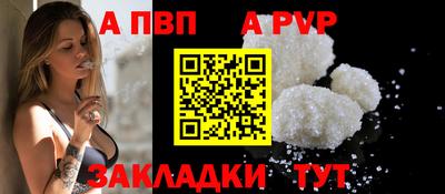 шишки Кингисепп