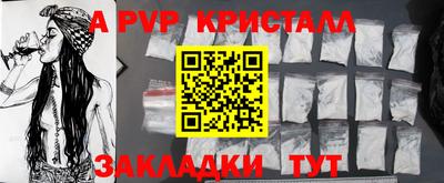 шишки Кингисепп