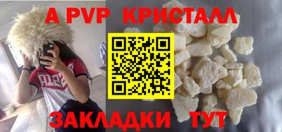 шишки Кингисепп