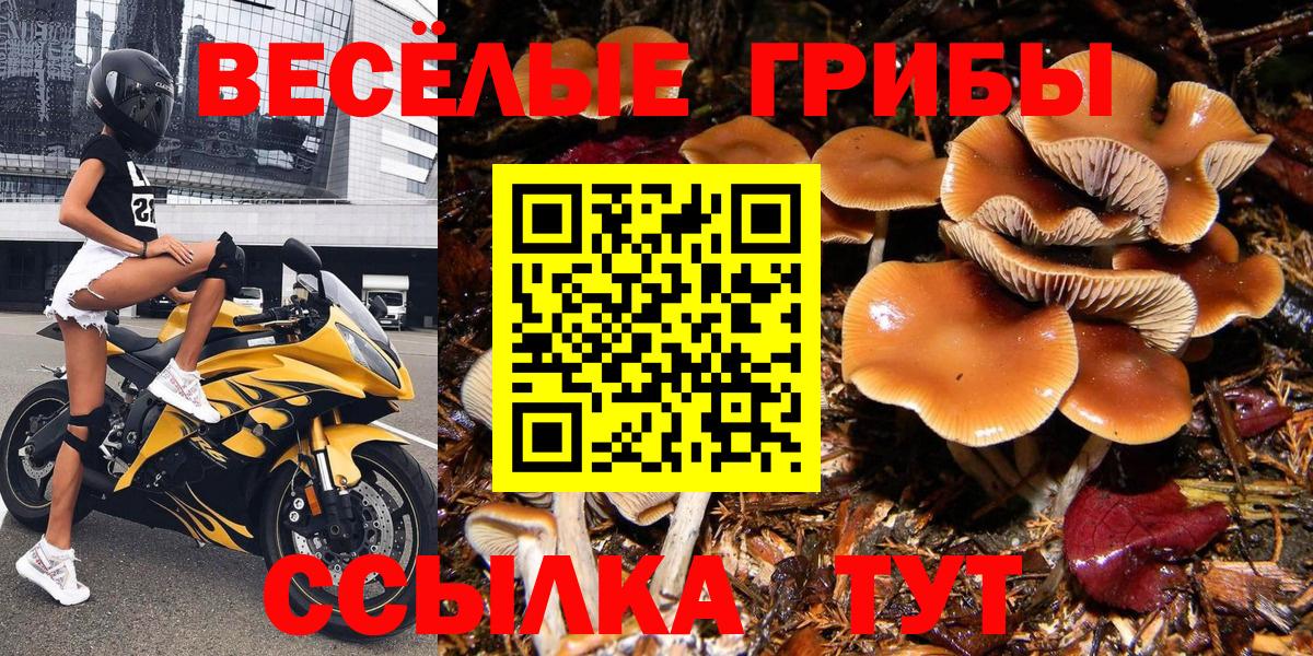 Псилоцибиновые грибы Magic Shrooms  Вход с VPN  Георгиевск 