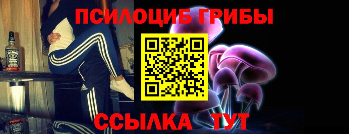 Галлюциногенные грибы мицелий Георгиевск